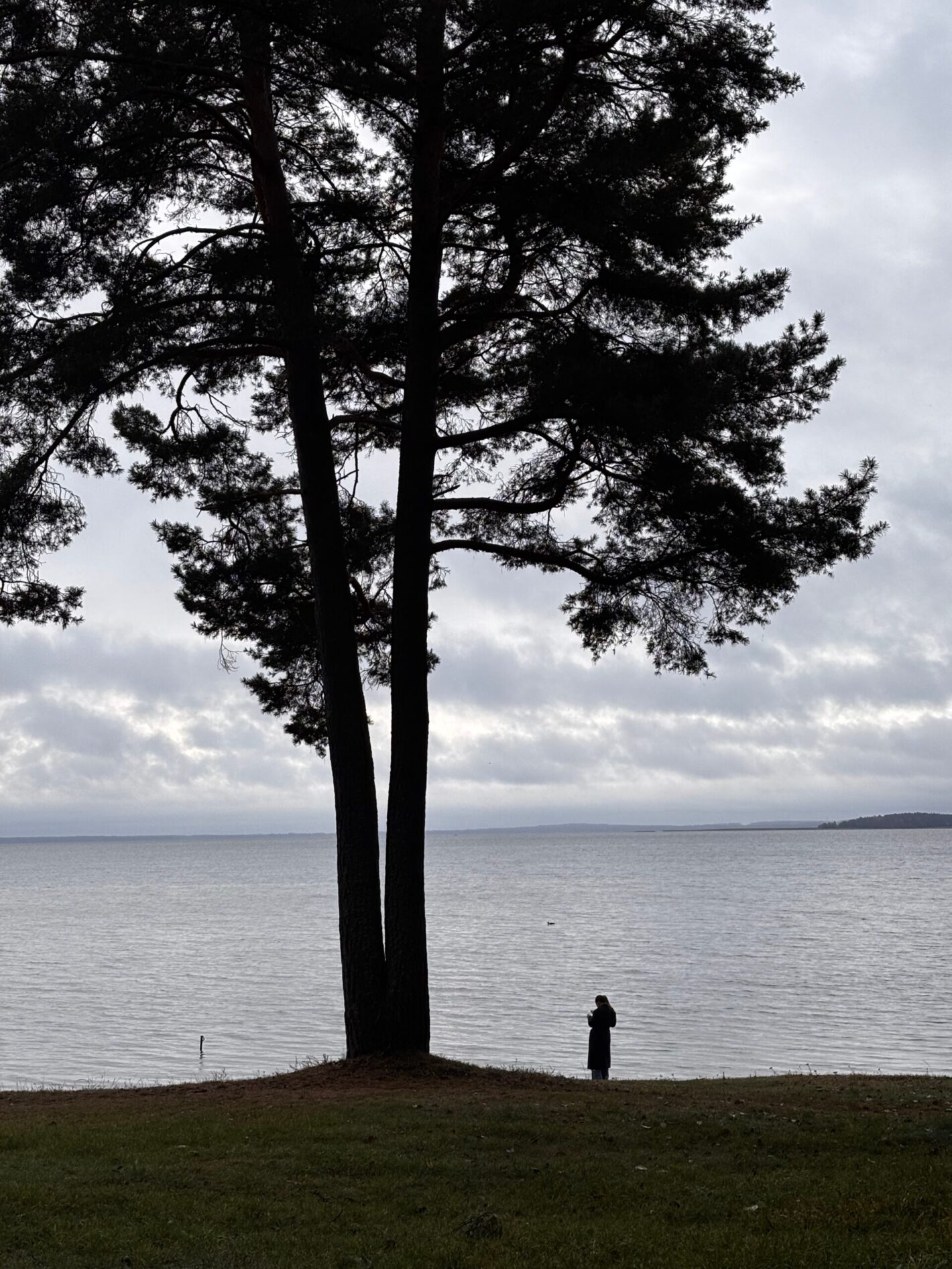 овсянникова татьяна